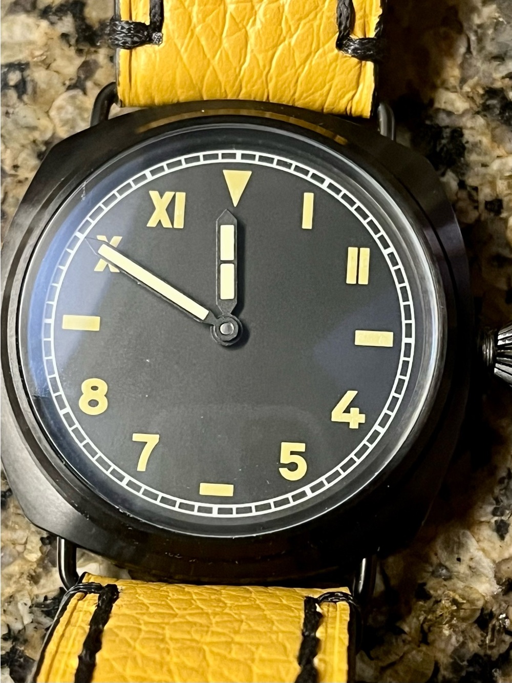 Sterile dial homage watch